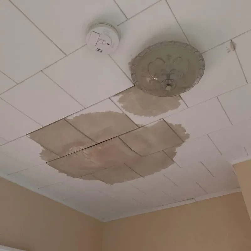 Ceiling Water Damage Repair in Copper Canyon, TX