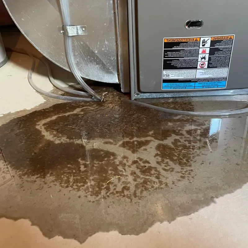 Pipe Burst and Leak Restoration in Copper Canyon, TX