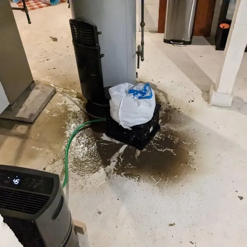 Sewage Backup Cleanup Service in Copper Canyon, TX
